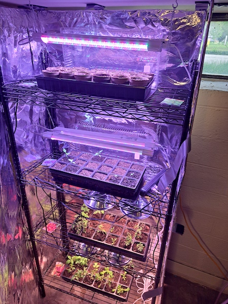 The grow column in action!