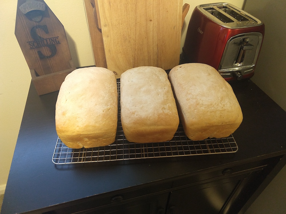 Three loaves of sourdough sandwich bread.