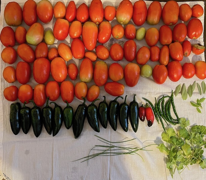 A harvest in October